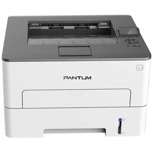 Замена головки на принтере Pantum P3010DW в Самаре